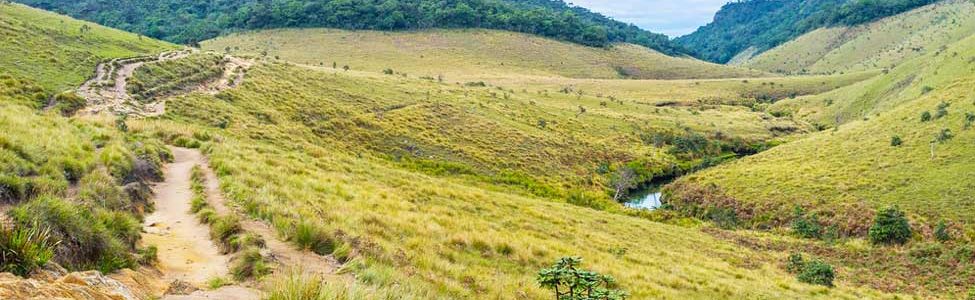 Horton Plains