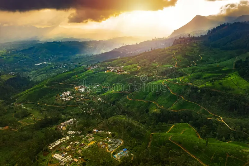 Nuwara Eliya