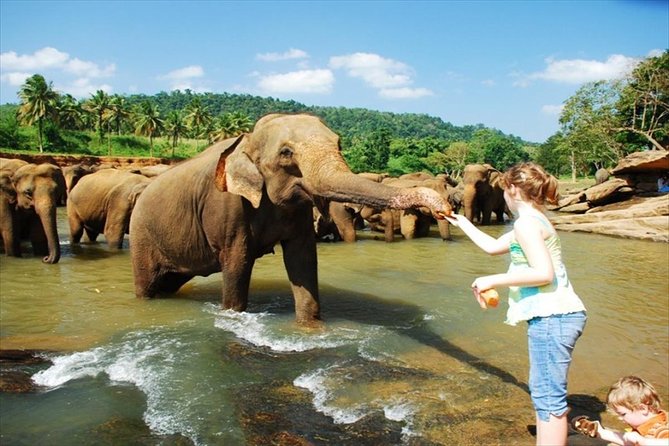 Pinnawala Elephant Orphanage